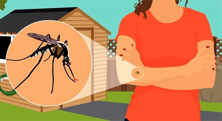 9 mẹo tránh muỗi đốt đơn giản và hiệu quả