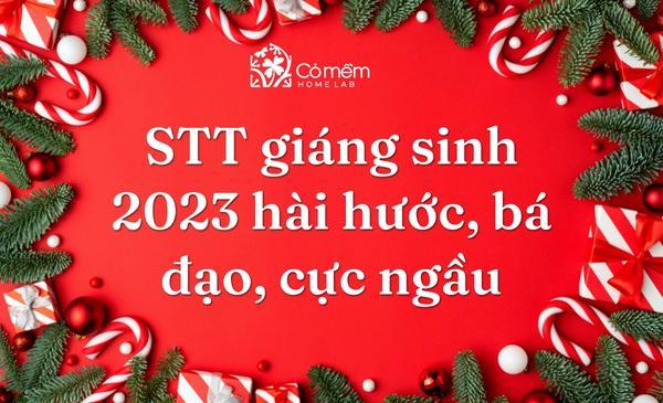 199+ STT Giáng Sinh 2024 Hài Hước, Bá Đạo, Cực Ngầu Cho 2K