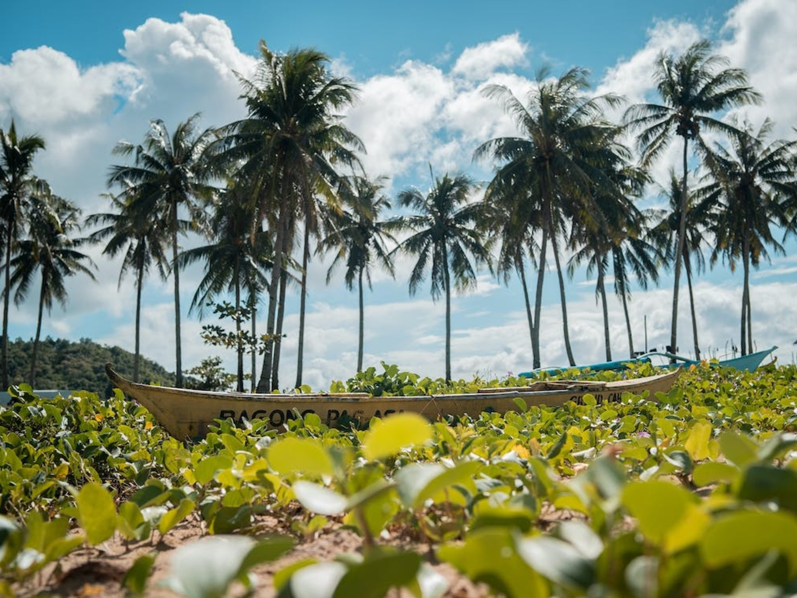 Tất tần tật về đất nước Philippines – Những điều thú vị không thể bỏ qua