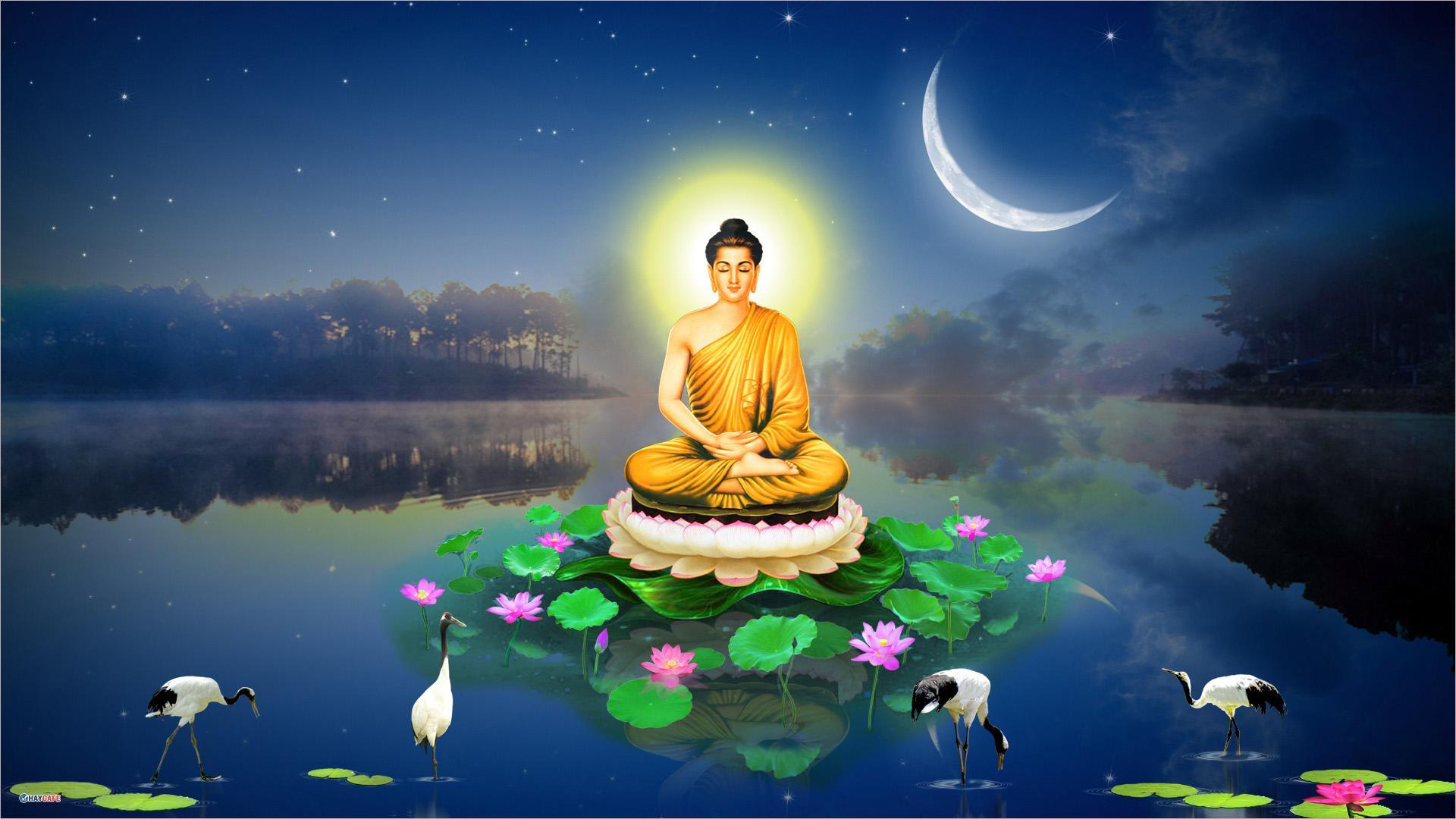 100+ hình ảnh Phật đẹp 3D mang tới bình an và may mắn