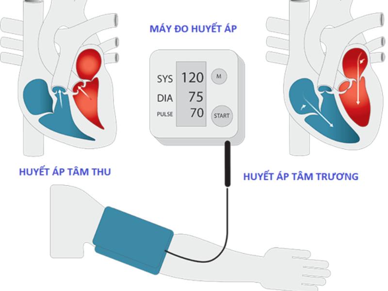 Khi nào thì chỉ số huyết áp tâm trương được cho là cao? 