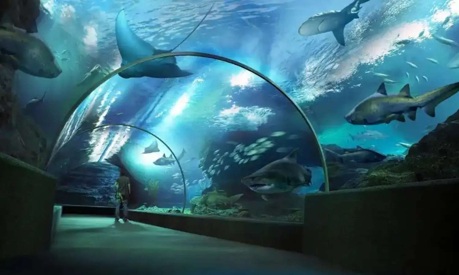 SEA LIFE Bangkok Ocean World Tickets