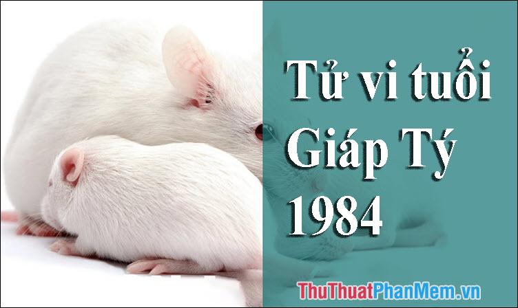 Năm 1984, mệnh số và con giáp như thế nào? Hợp màu và tuổi nào? Hãy khám phá phong thủy của nam, nữ 1984.