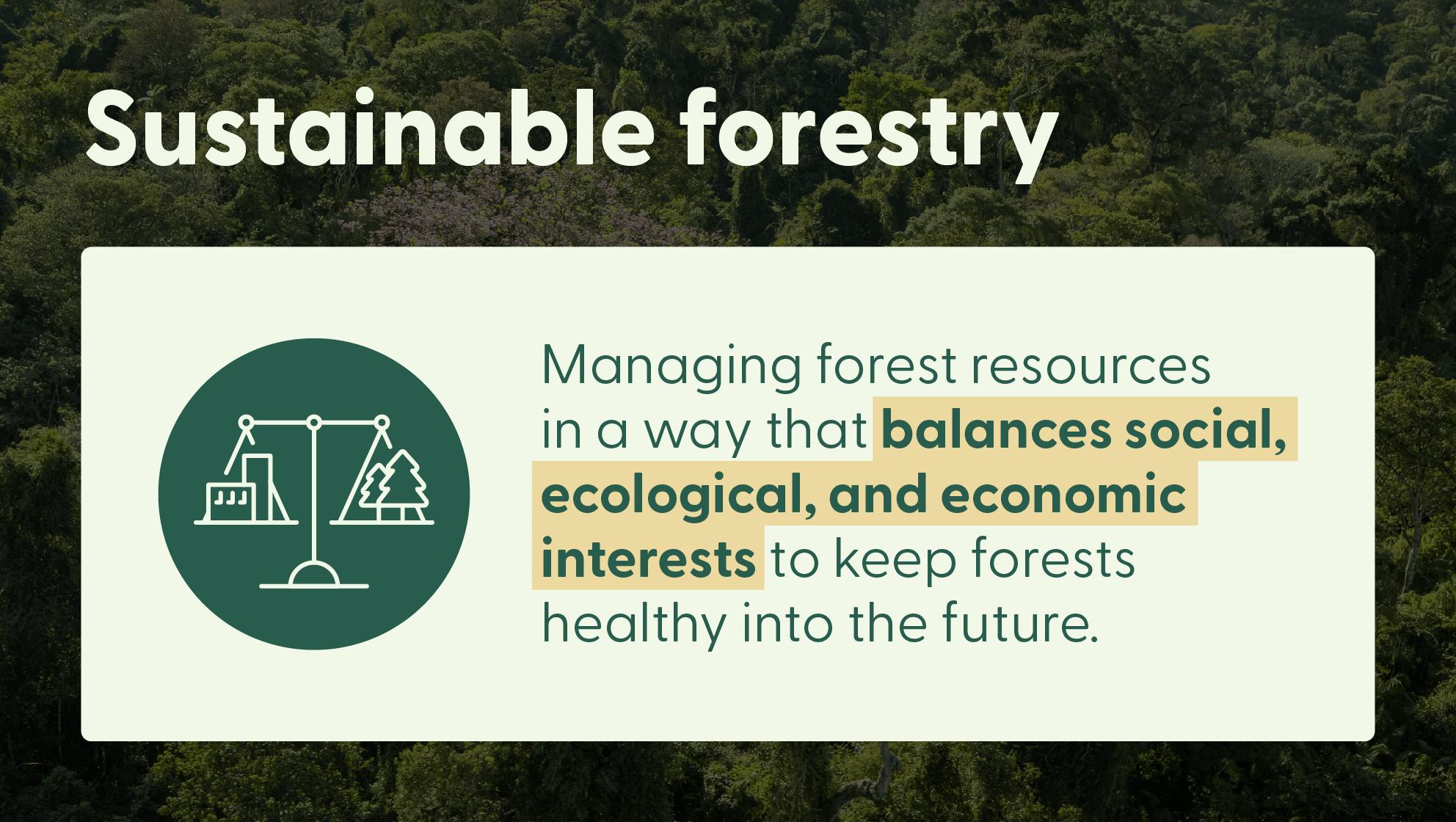 Graphic of a text box on top of a forested background explaining the definition of sustainable forestry.