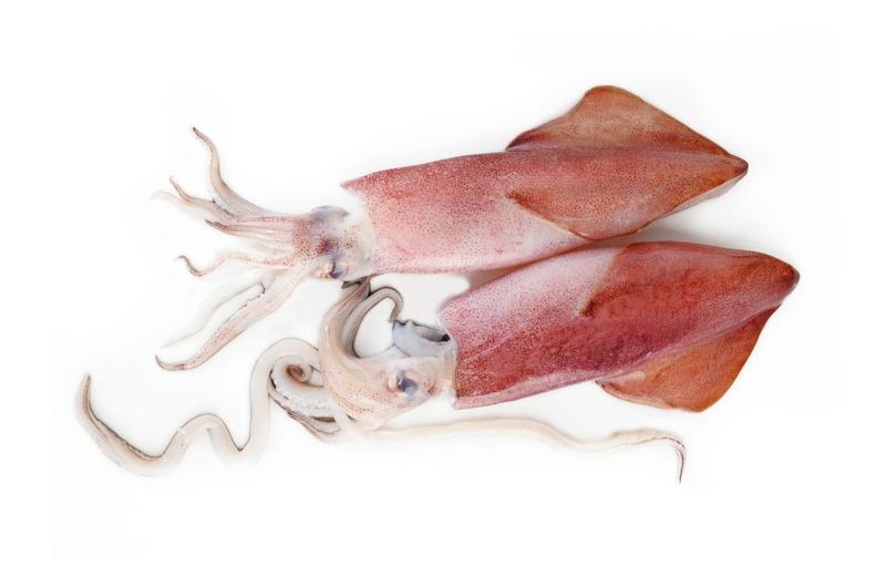 Ăn cá mực có tác dụng gì? Nguy cơ tiềm ẩn khi ăn mực 1