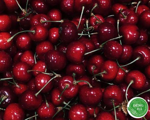 1kg-cherry-bao-nhieu-tien-hom-nay-cherry-la-qua-gi