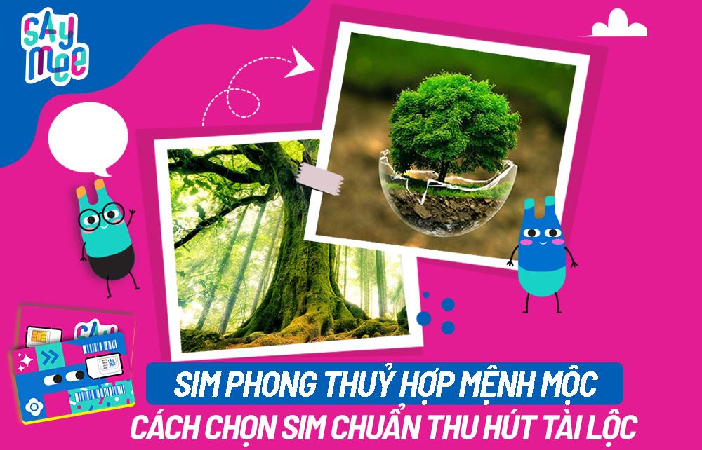 SIM phong thủy hợp mệnh Mộc