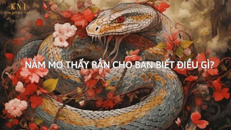 NẰM MƠ THẤY RẮN CHO BẠN BIẾT ĐIỀU GÌ?