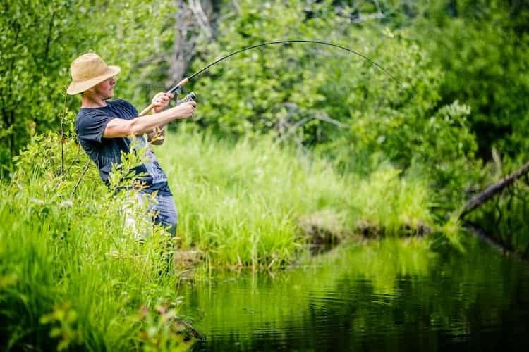 Mơ thấy câu cá cho thấy bạn đích thị là người thành công