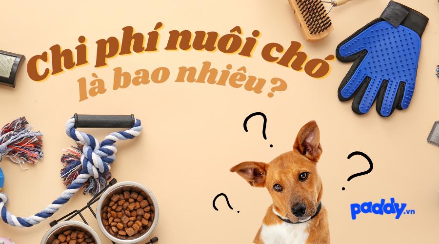 Chi Phí Nuôi Chó Là Bao Nhiêu Tiền?