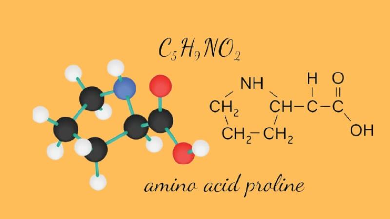 Proline là gì? Proline có tác dụng gì trong mỹ phẩm làm đẹp?