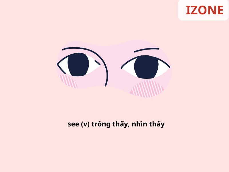 Cụm động từ với see – Ý nghĩa của 9 phrasal verb see thông dụng