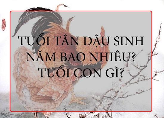 Giải đáp tuổi Tân Dậu sinh năm bao nhiêu?