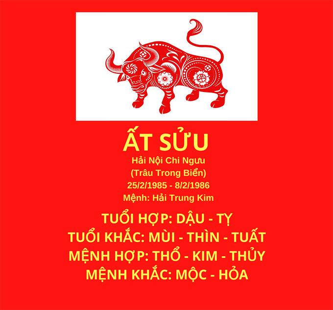 tu vi tron doi tuoi at suu