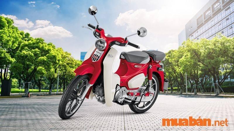 Mua Bán Xe Honda Cub Cũ Quận Gò Vấp, TP.HCM Giá Rẻ, Uy Tín T8/2024