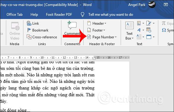 Cách đánh số trang trong Word 2019