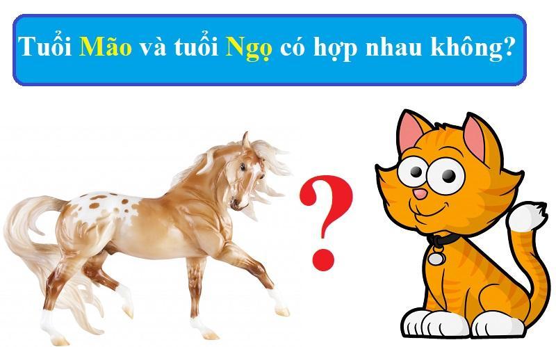 Tuổi Mão Và Tuổi Ngọ Có Hợp Nhau Không? Luận Giải Chi Tiết | Đất Xuyên Việt