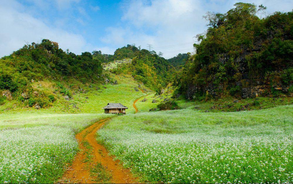 Kinh nghiệm chụp ảnh Mộc Châu đẹp sống ảo