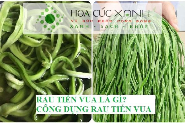 Rau tiến vua là rau gì? Công dụng rau tiến vua