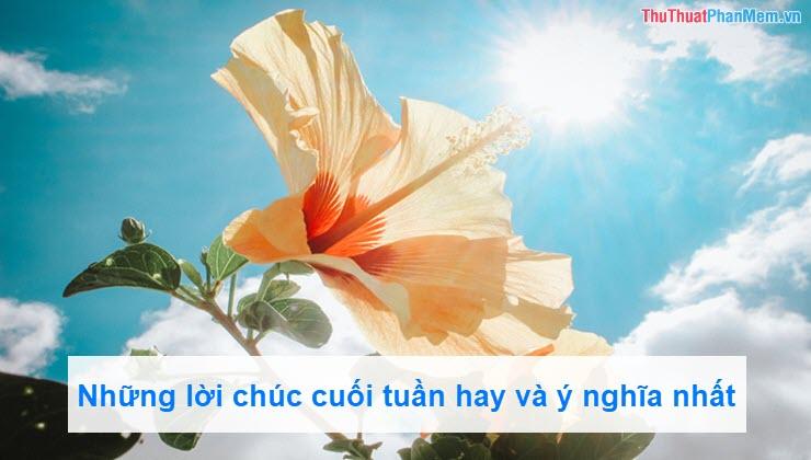 Những lời chúc cuối tuần ấm áp và ý nghĩa nhất