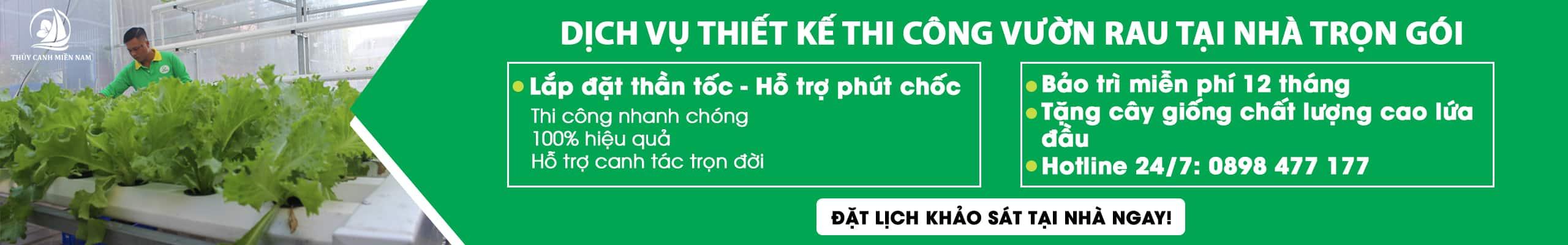 dich-vu-thiet-ke-thi-cong-vuon-rau-tron-goi-uy-tin-chat-luong