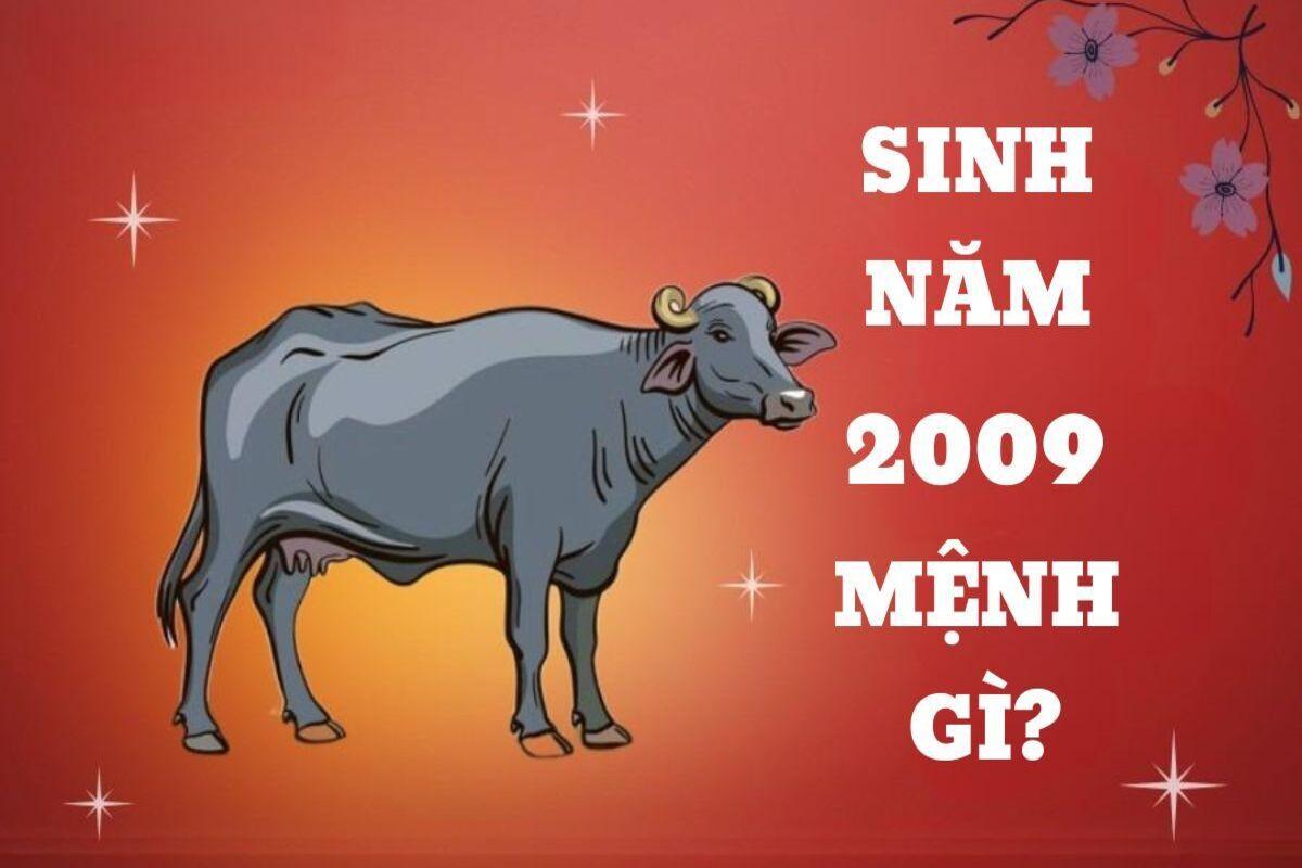 Tuổi Kỷ Sửu sinh năm 2009 mệnh gì, cung gì, tuổi con gì?