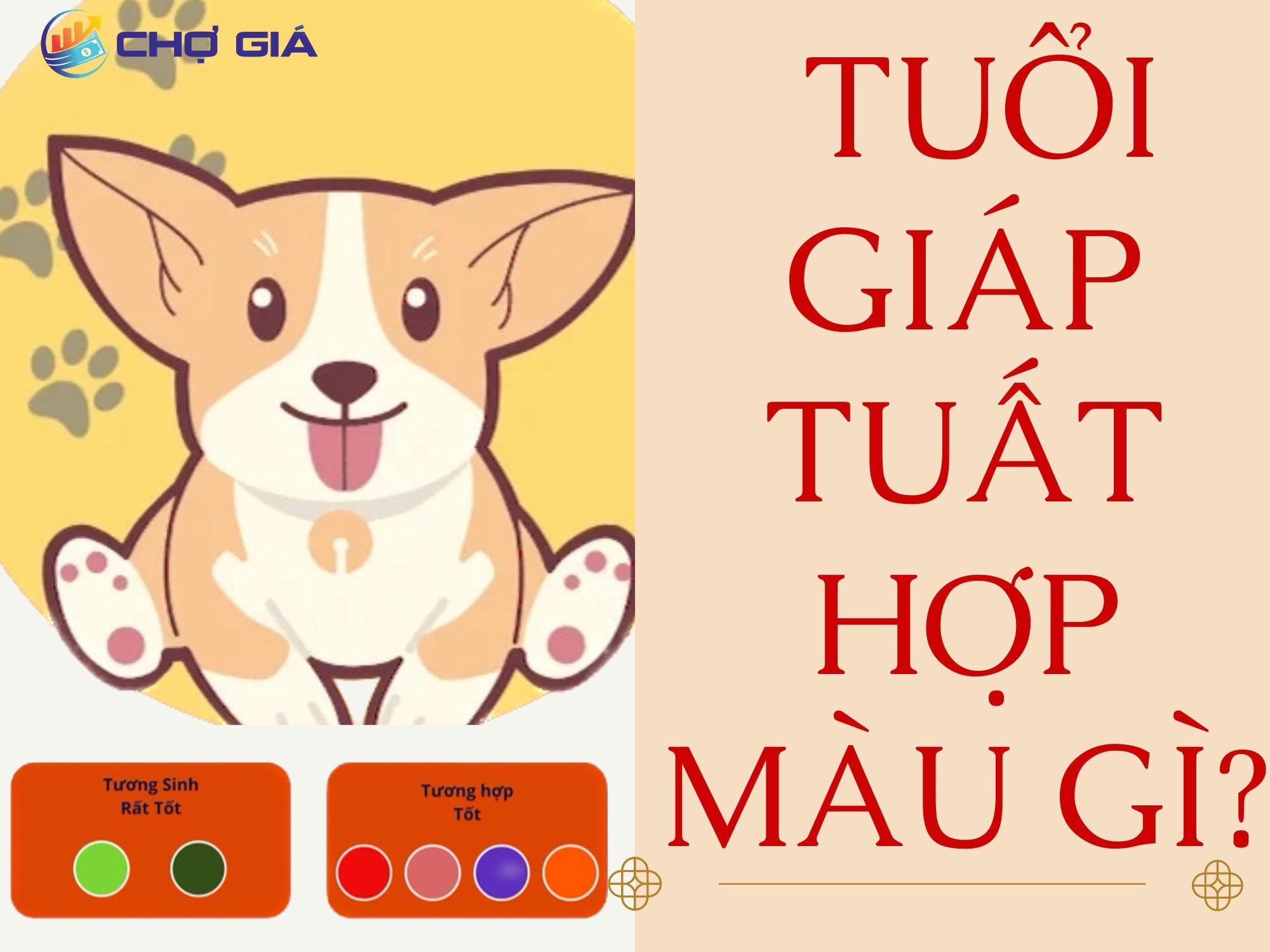 Giáp Tuất 1994 hợp màu gì & cách hóa giải vận xấu bằng màu sắc