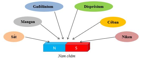 Trong bức tranh các đường sức từ, từ trường mạnh hơn được diễn tả bởi