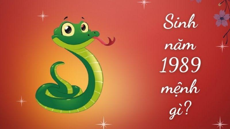 Sinh năm 1989 mệnh gì? Tuổi Con gì? Con số và màu hợp