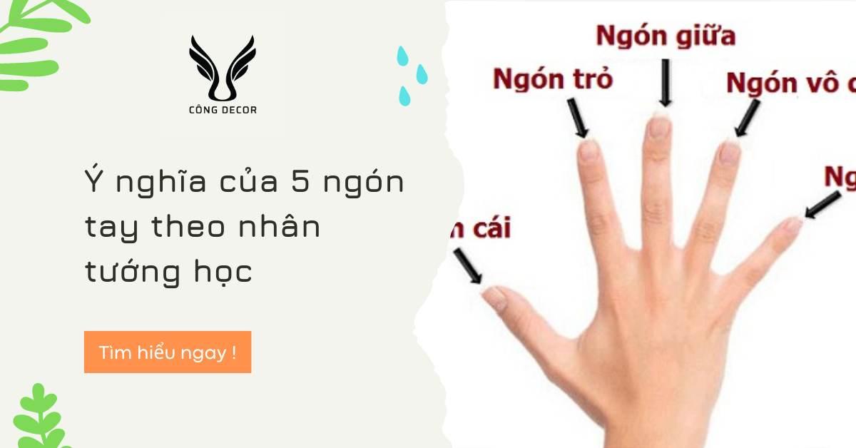 Ý nghĩa của 5 ngón tay theo nhân tướng học