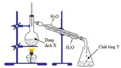 Bản tường trình hóa học 9 bài 49