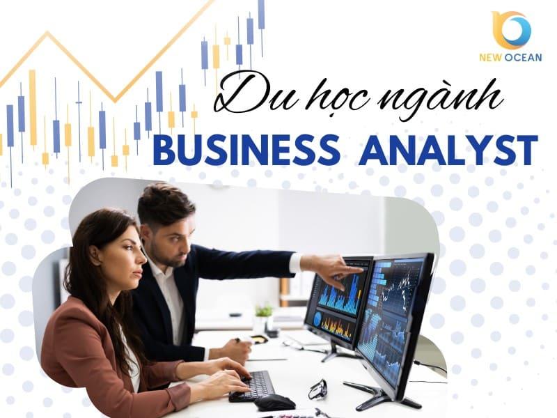 Du học ngành Business Analyst ở nước nào tốt nhất?