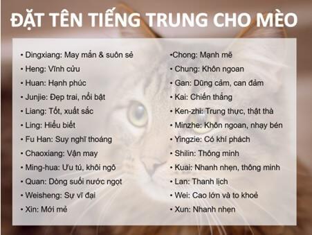 Blog bói Tình Yêu