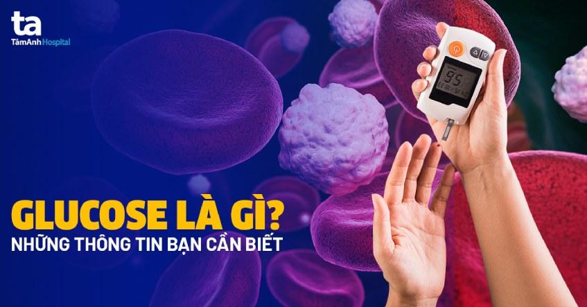 Glucose là gì? Vai trò của glucose đối với cơ thể con người