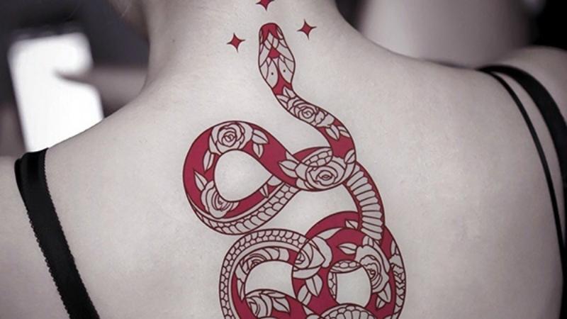 Ý nghĩa hình xăm rắn và các mẫu tattoo đẹp ấn tượng nhất