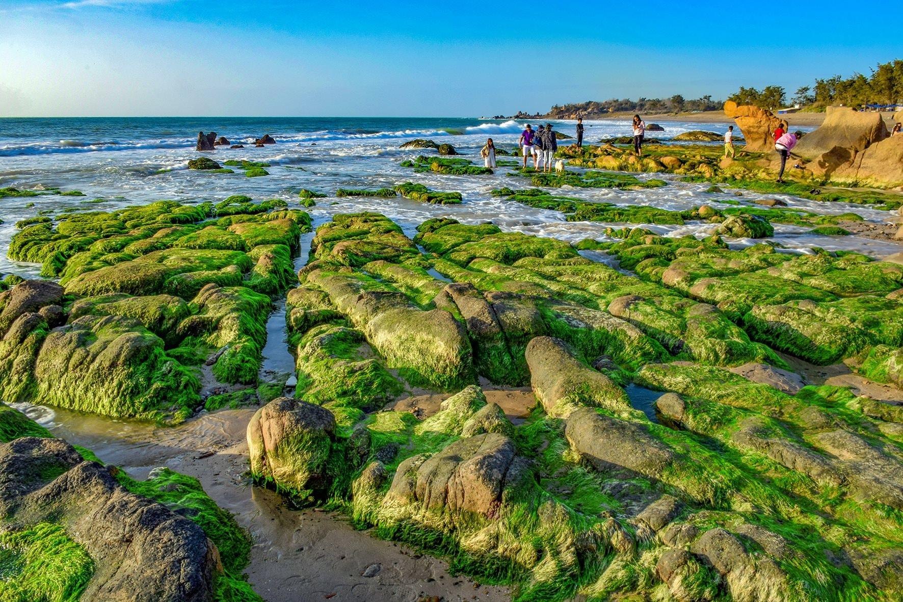 Du lịch Tuy Phong: Cơ hội lớn “sải cánh” bay xa