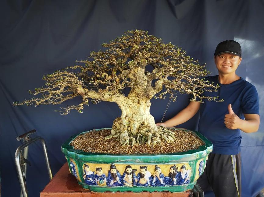 Kiếm tiền triệu nhờ trồng bonsai mai chiếu thủy