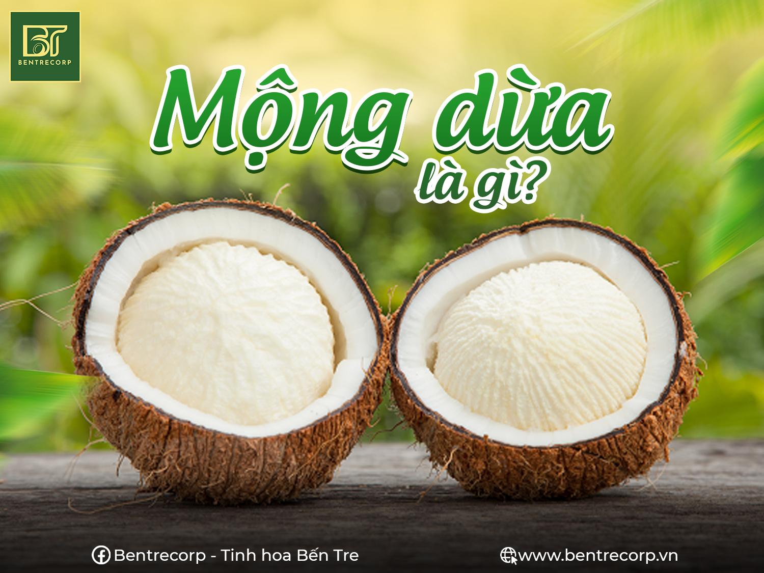 Mộng dừa là gì? Tác dụng của mộng dừa