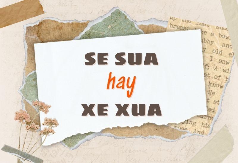 Se sua hay xe xua đúng chính tả?