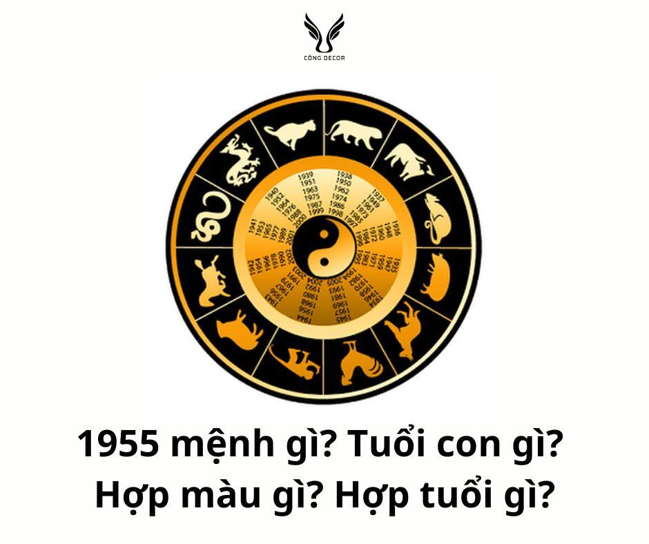 Người sinh năm 1955 mệnh gì? Nam nữ 1955 tuổi con gì? Hợp màu gì? Hợp tuổi gì?