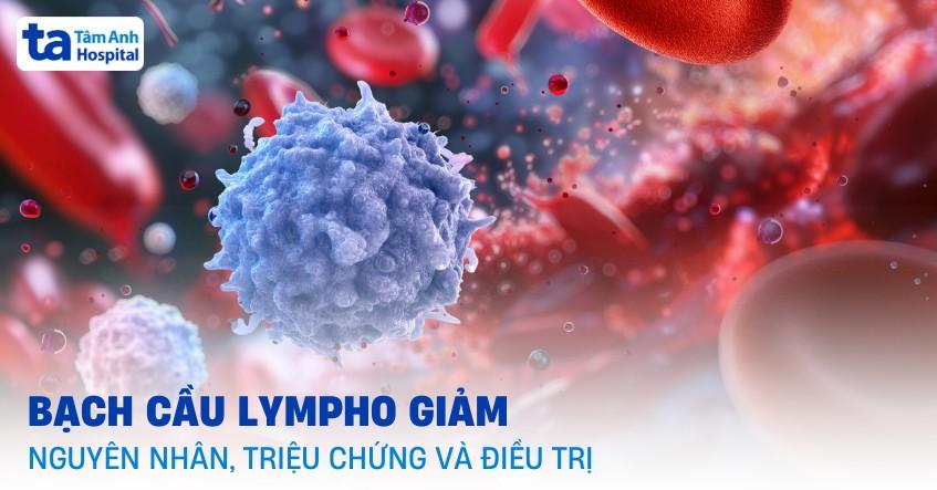 Bạch cầu lympho giảm là bệnh gì? Nguyên nhân, triệu chứng, điều trị