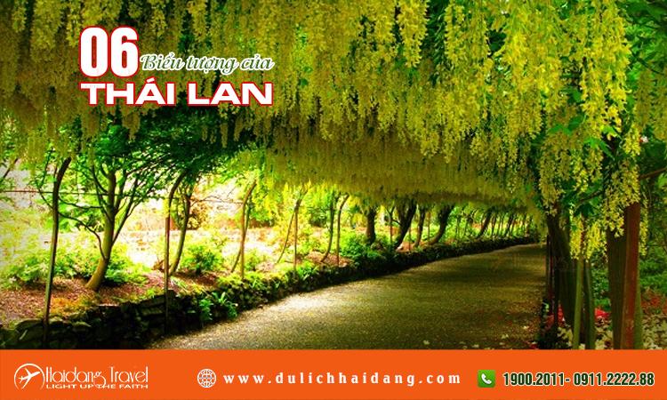 Loài hoa nào là biểu tượng Thái Lan? Hải Đăng Travel