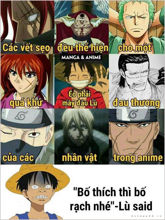 Hình ảnh chế one piece